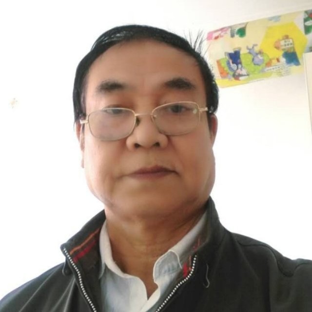 鲤鱼拿心情的照片