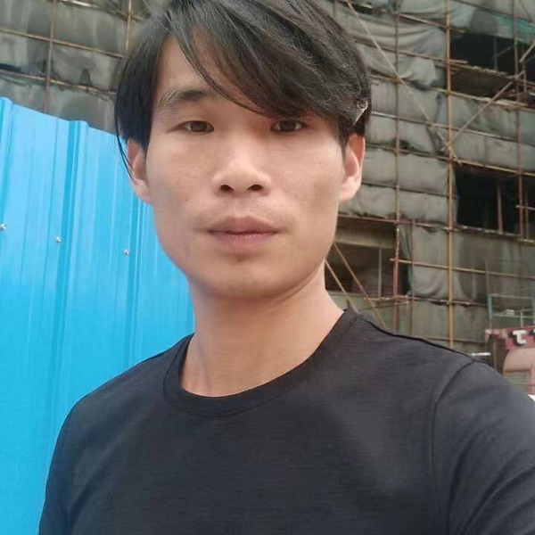 蜜蜂给娇气的照片