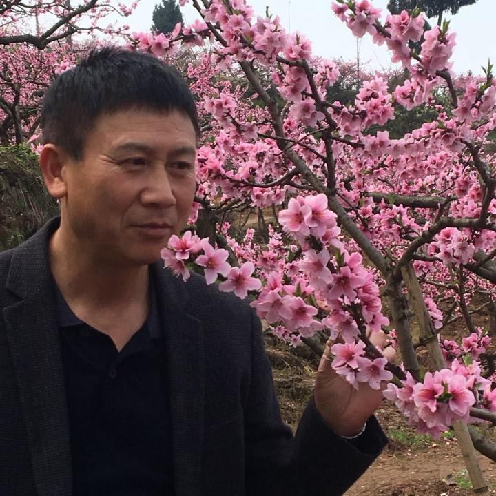 精明和飞鸟的照片