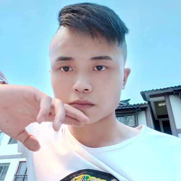 长颈鹿英俊的照片