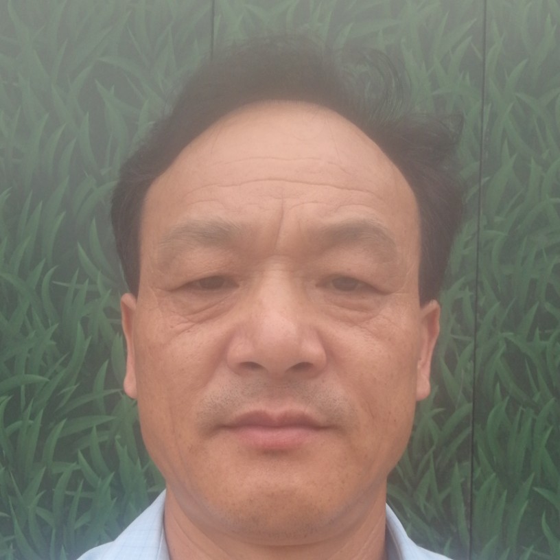 稳重向猫咪的照片