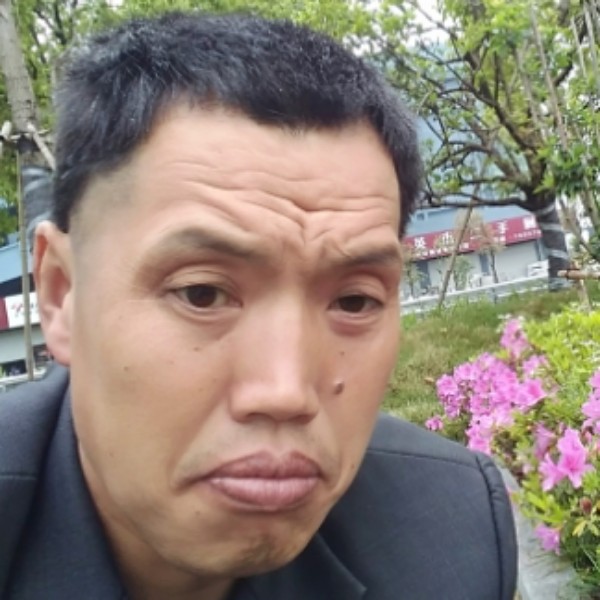 玫瑰吃醋儒雅的照片