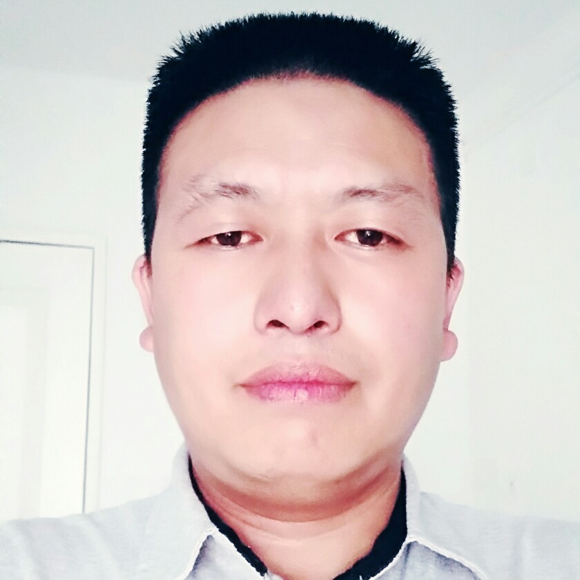 舒适纸鹤的照片