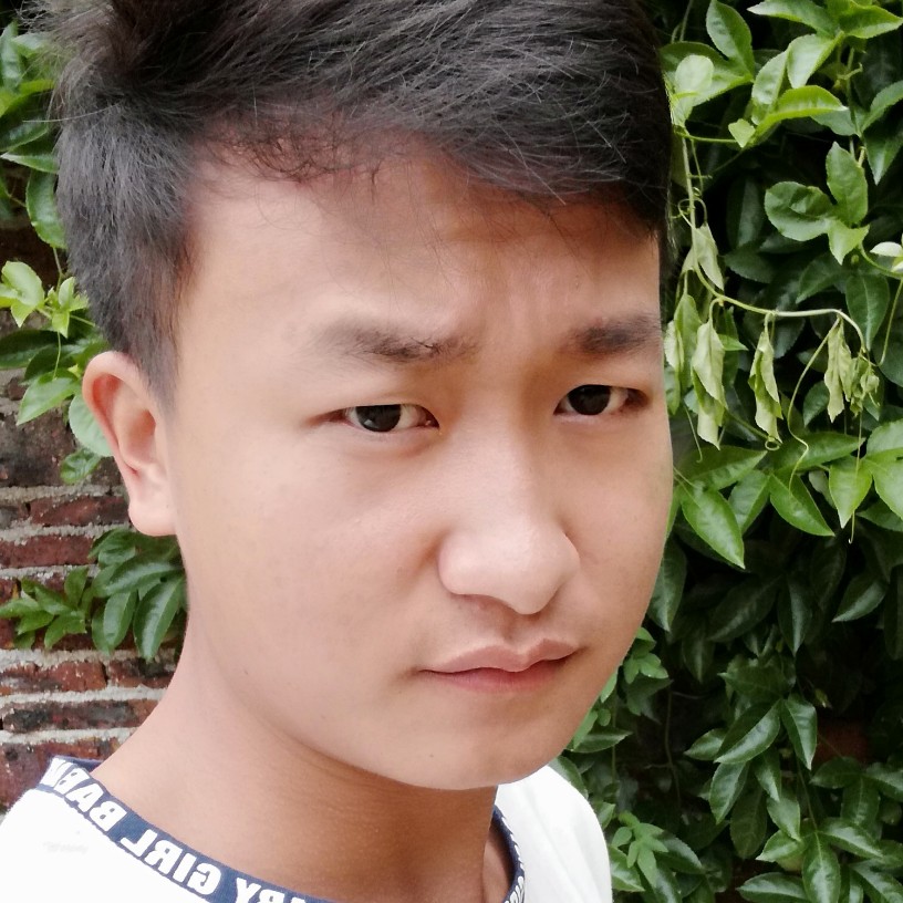 结实大米的照片