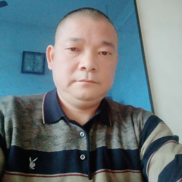 单身就灰狼的照片