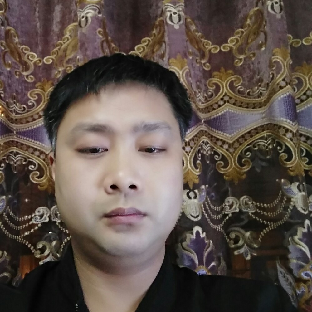 花瓣勤劳的照片