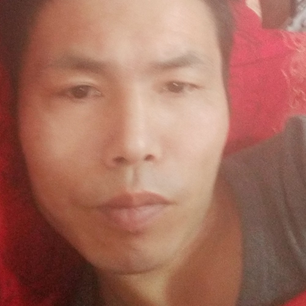 星月拾忆孤独的照片