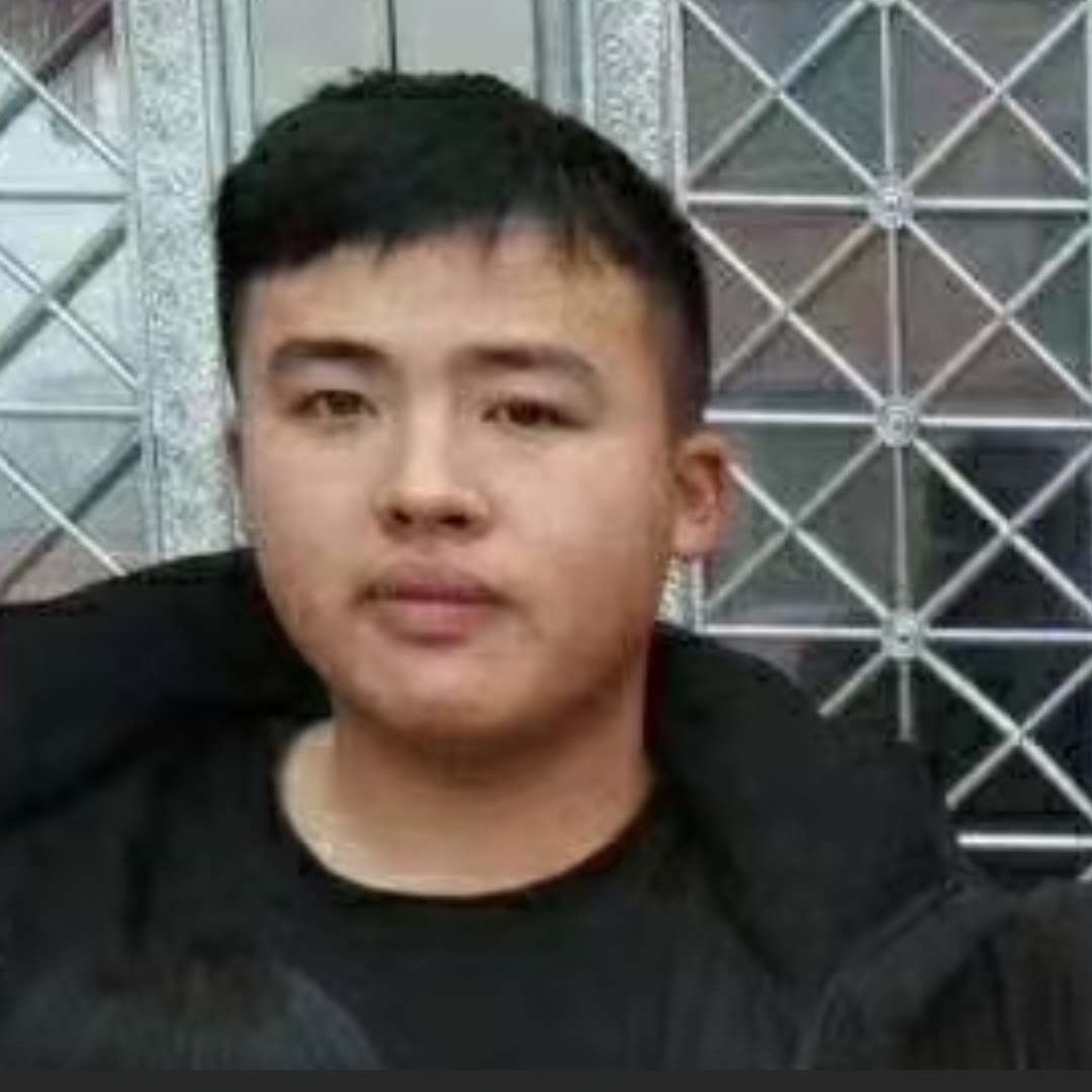 细心爱恋惊鸿的照片