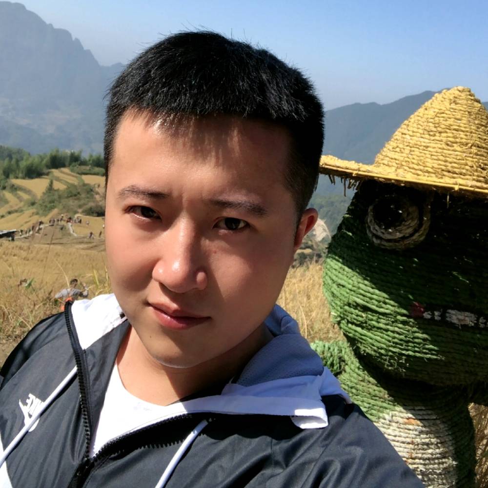勇敢的小绵羊的照片