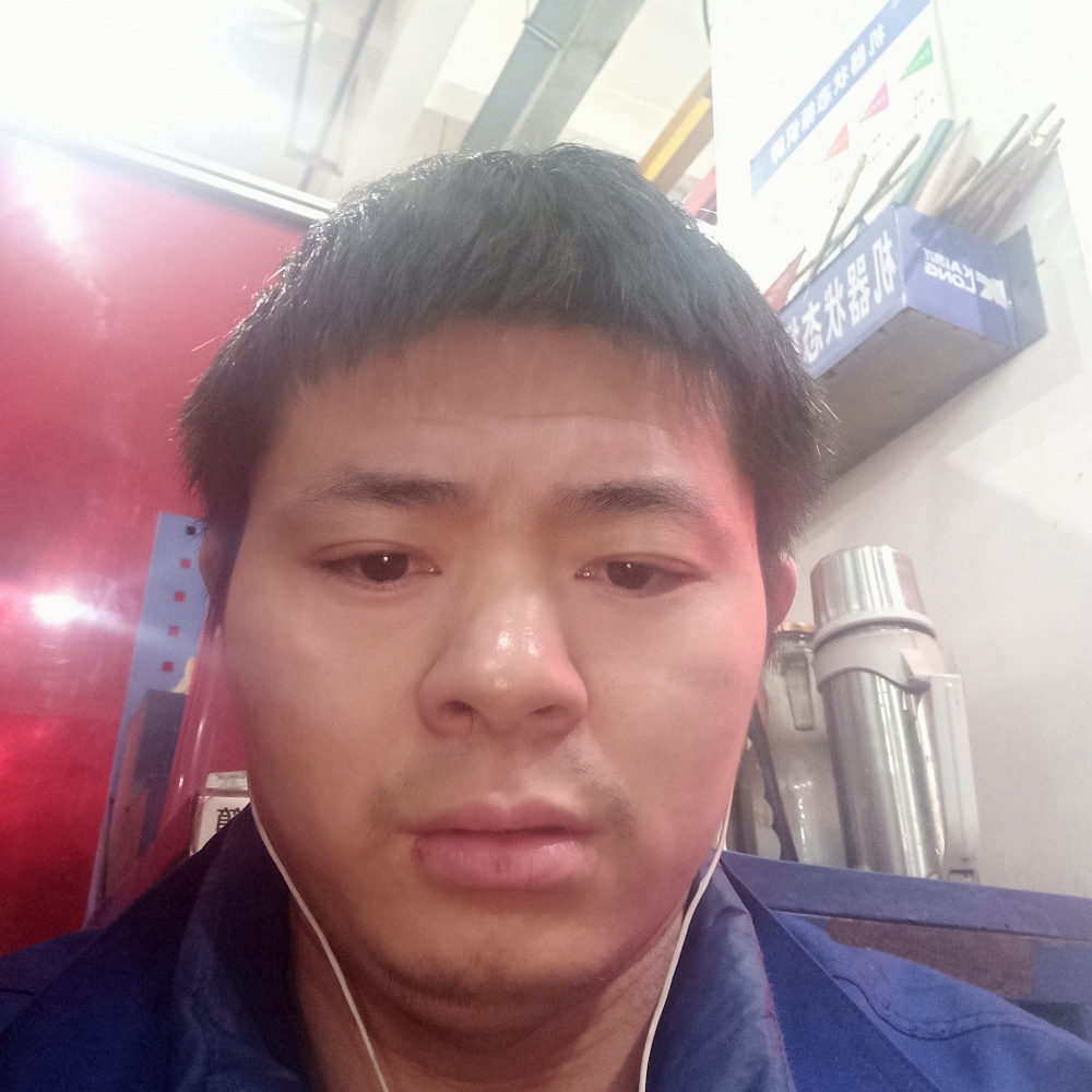 刺猬愉快的照片