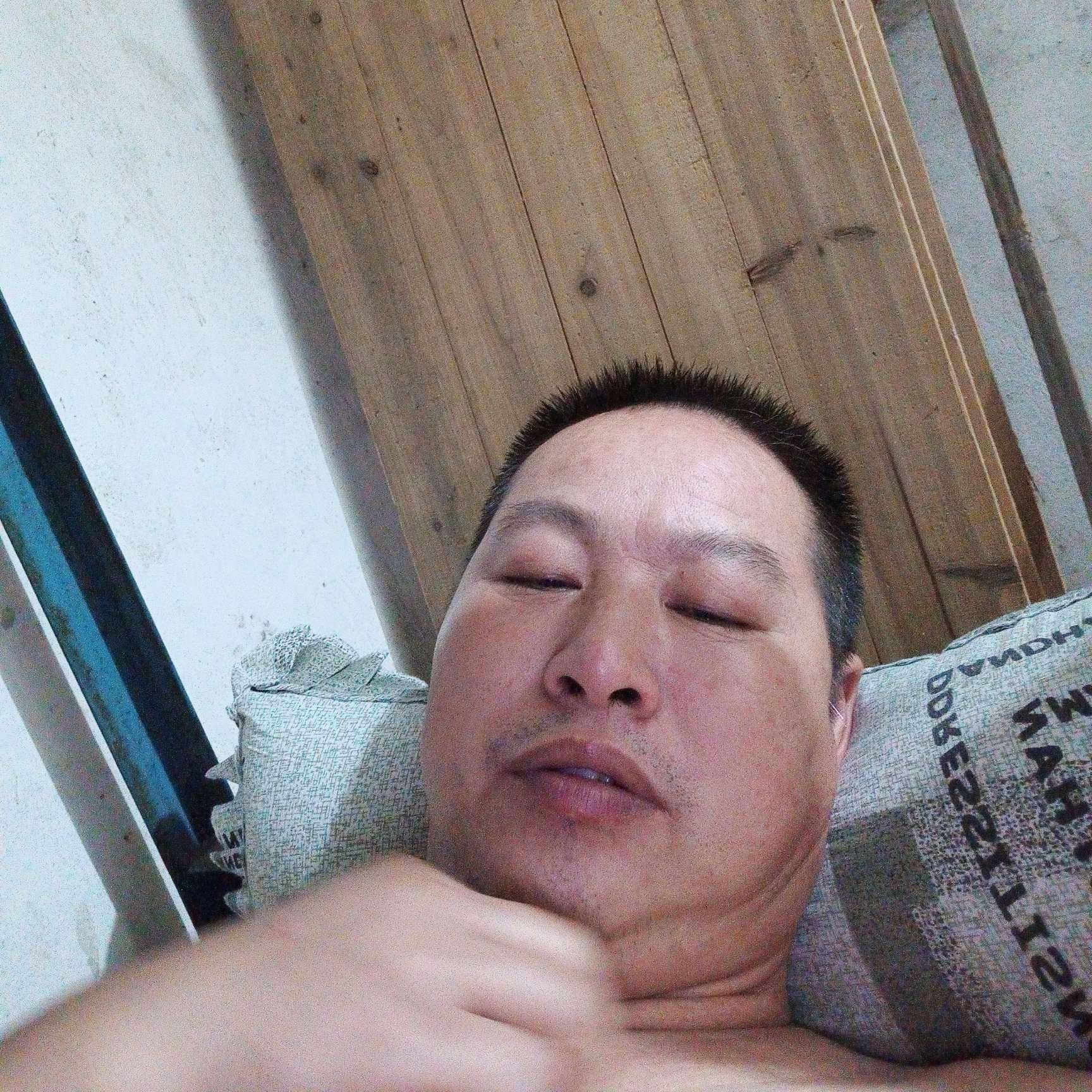 洋葱苦恋端庄的照片