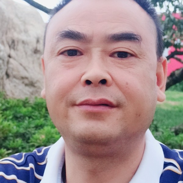 海燕回首幸福的照片