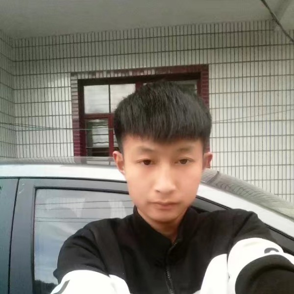 纯情浅吻荷花的照片