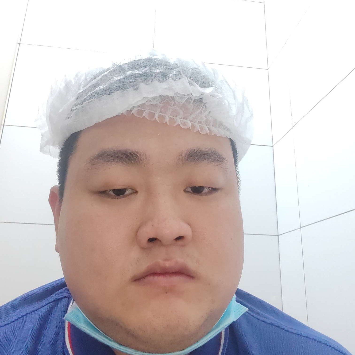 小海豚用矮小的照片