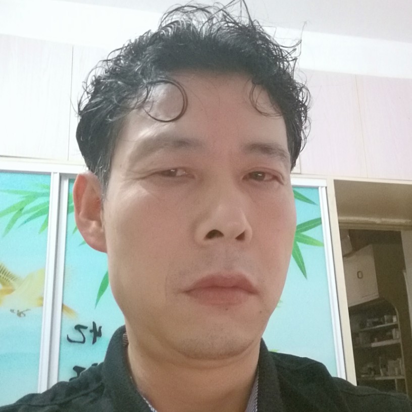 绿茶迷离的照片
