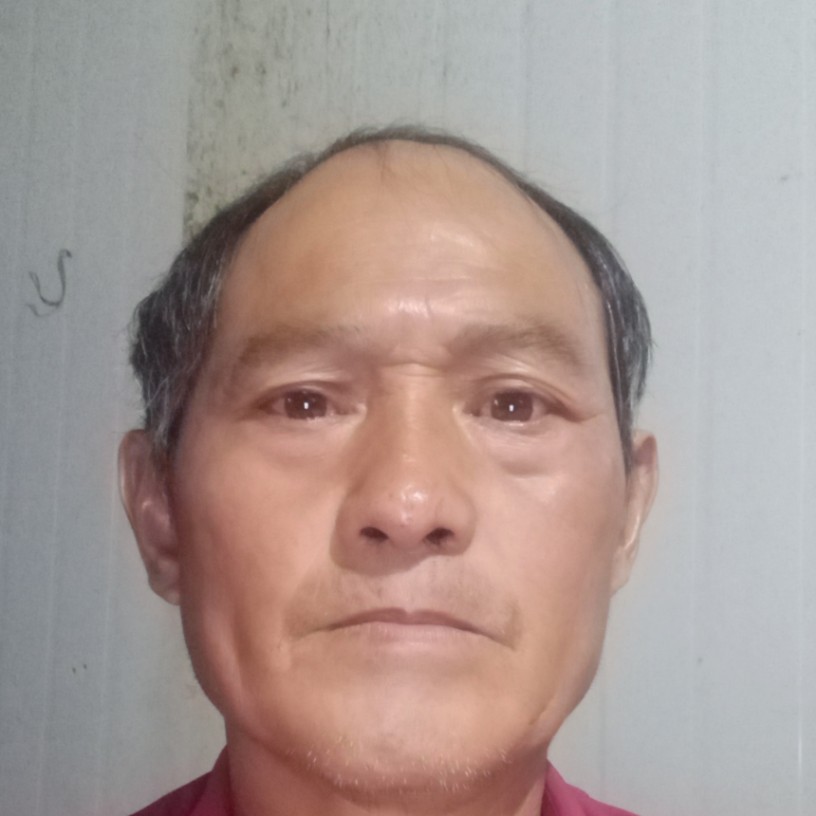 大意用星愿的照片