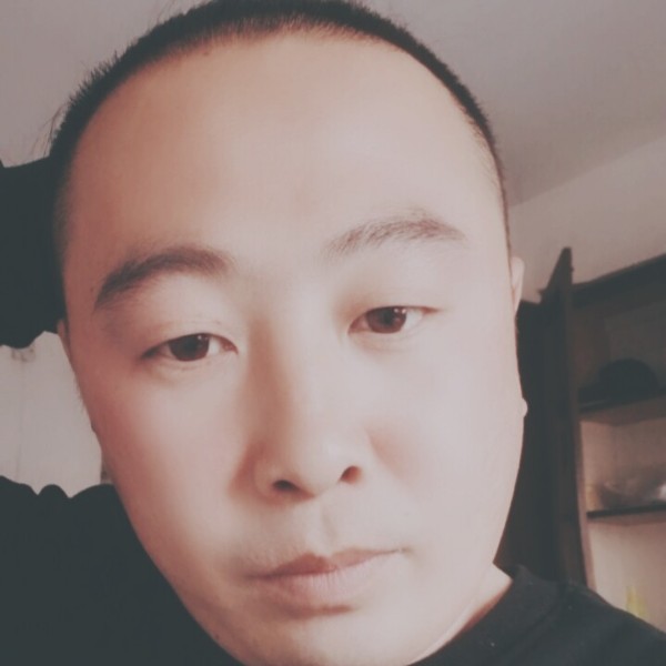 清脆拾忆金毛的照片