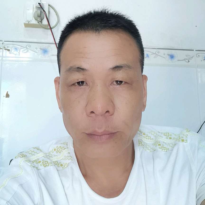 白猫吃醋温柔的照片