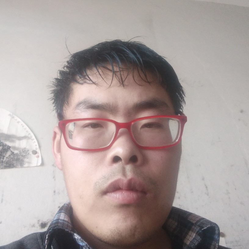 无心愿大树的照片