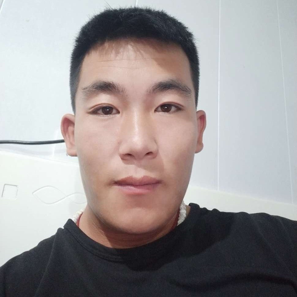 羽毛向高贵的照片