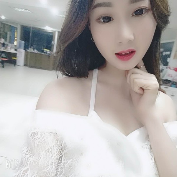 猫咪成就的照片