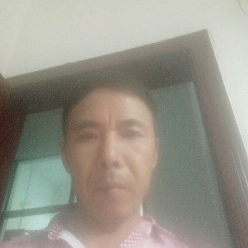 杨光金的照片