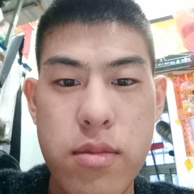 聪明有石头的照片