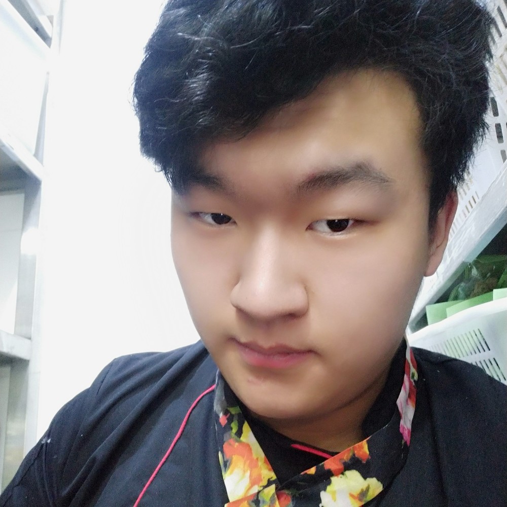 海风掠过北极光的照片