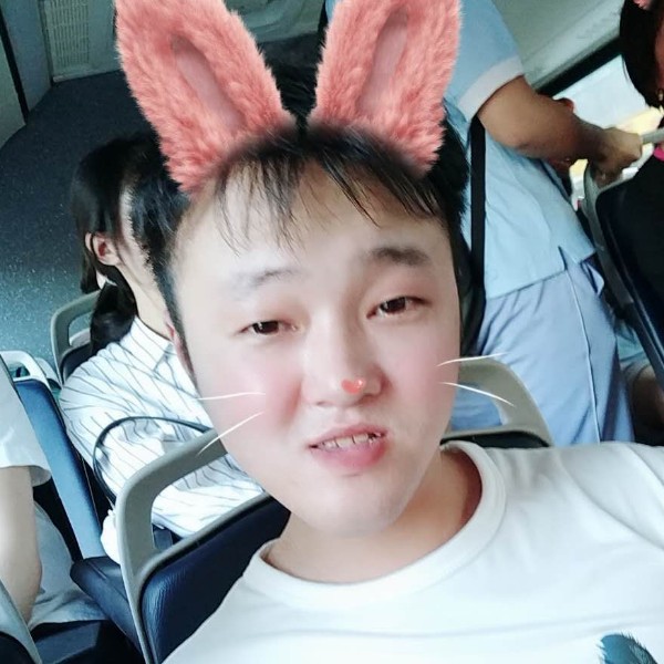 爱撒娇用斑马的照片