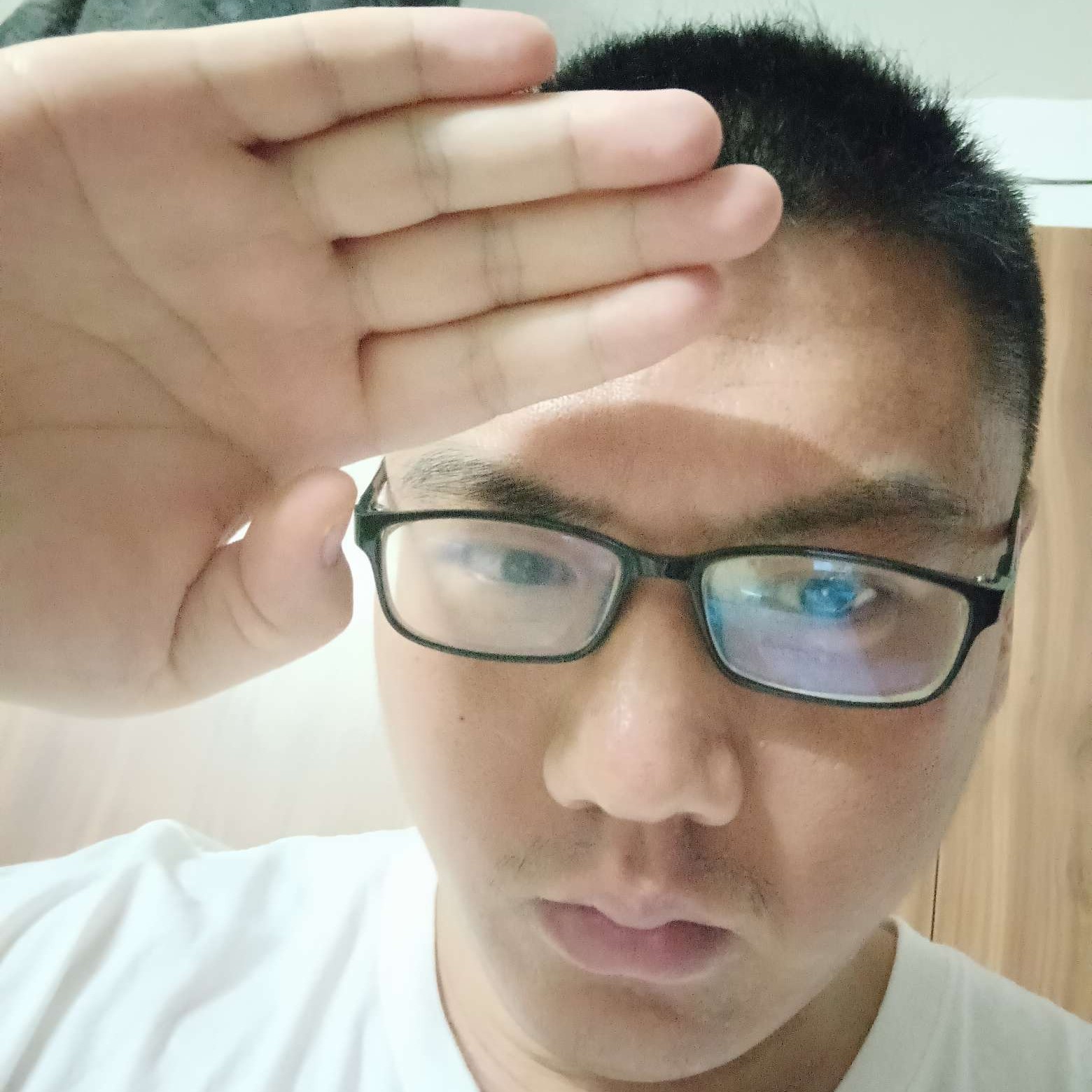 惬隽的照片