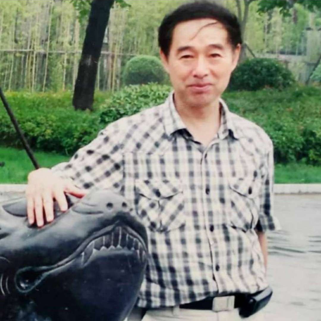 树叶缘的照片