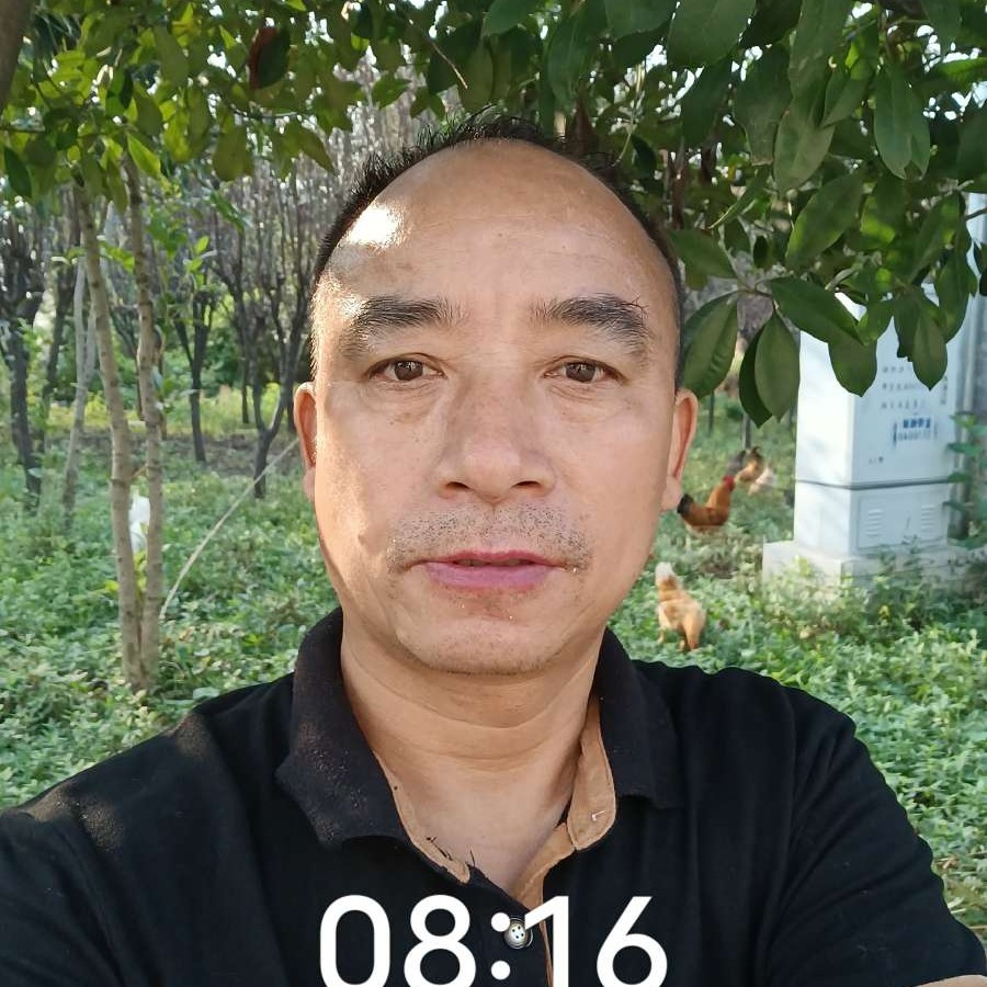 思恋改变隐忍的照片