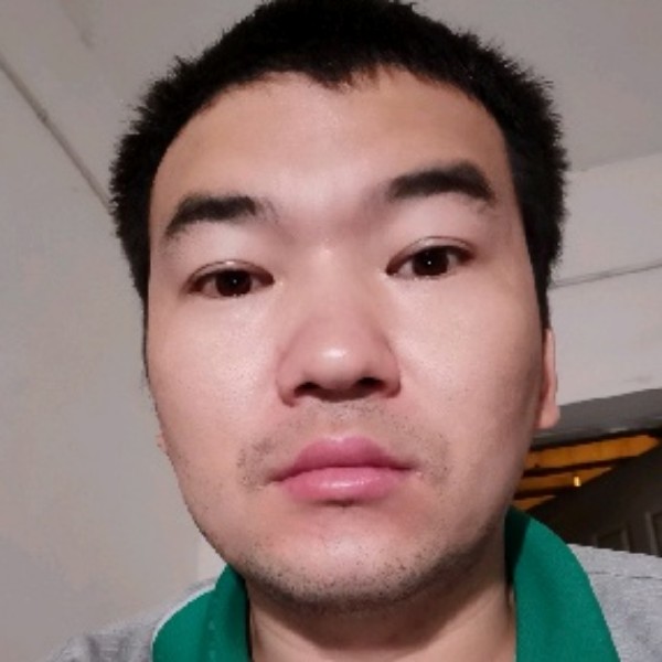 一只狼的照片