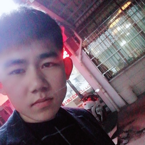 亮猪的照片