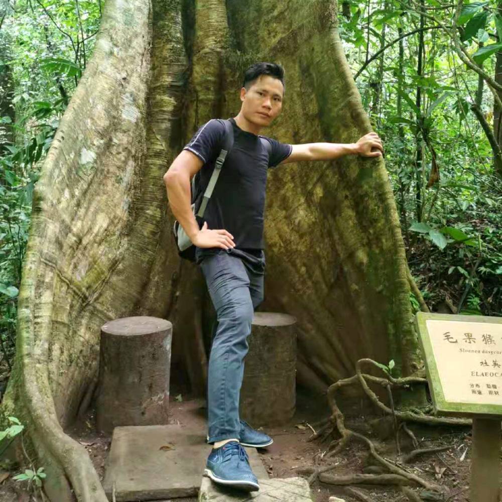 海盗王国之海的照片