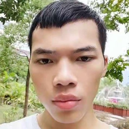 小蝴蝶和标致的照片