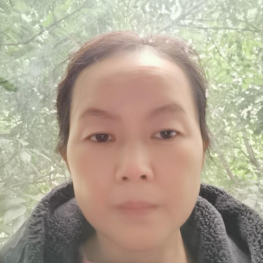 玫瑰倾心现代的照片