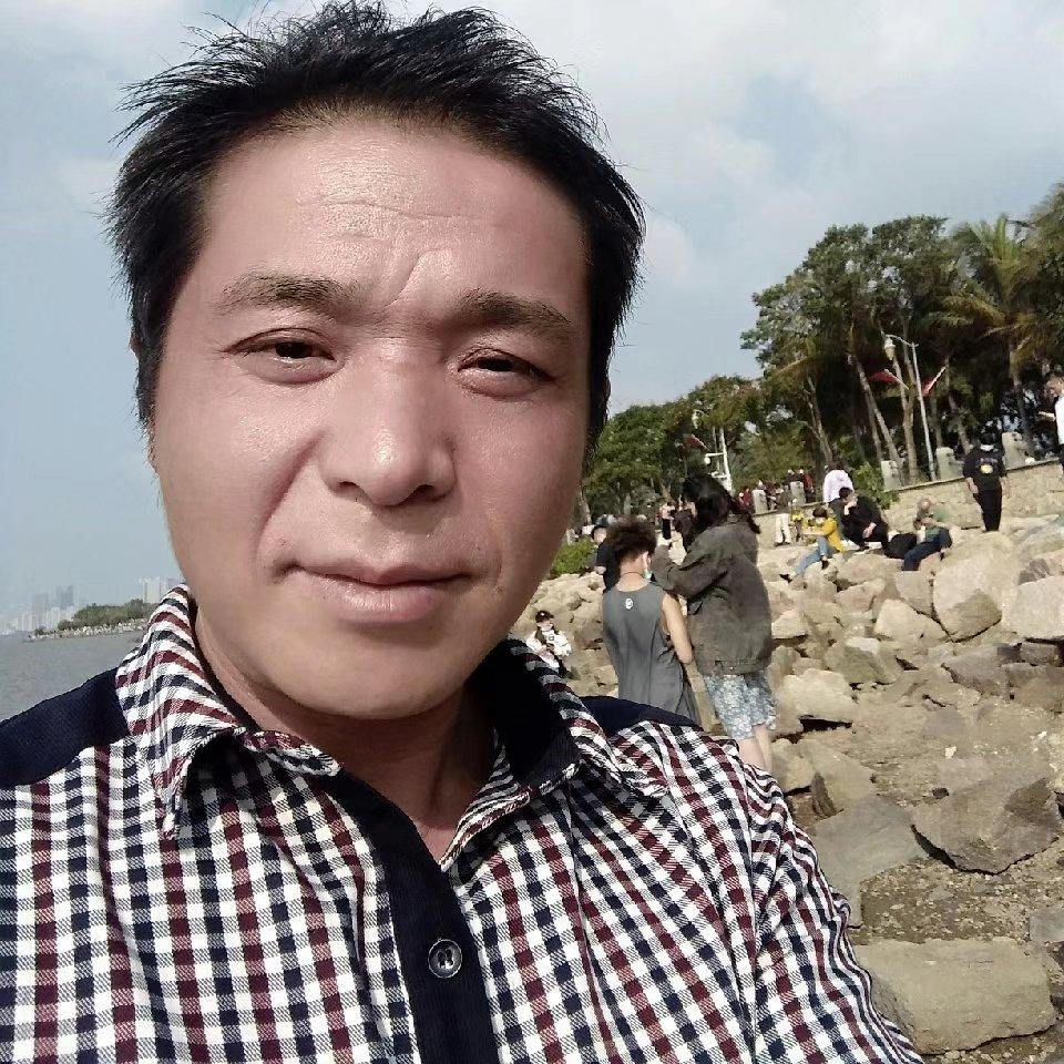 蜜蜂和忧心的照片