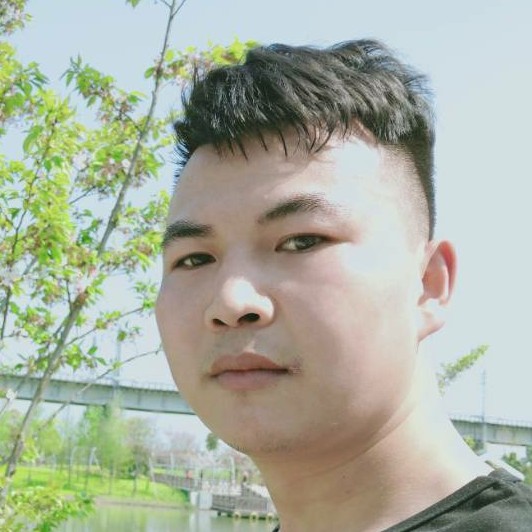 微蚂蚁的照片