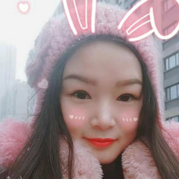 柏拉图的猪的照片