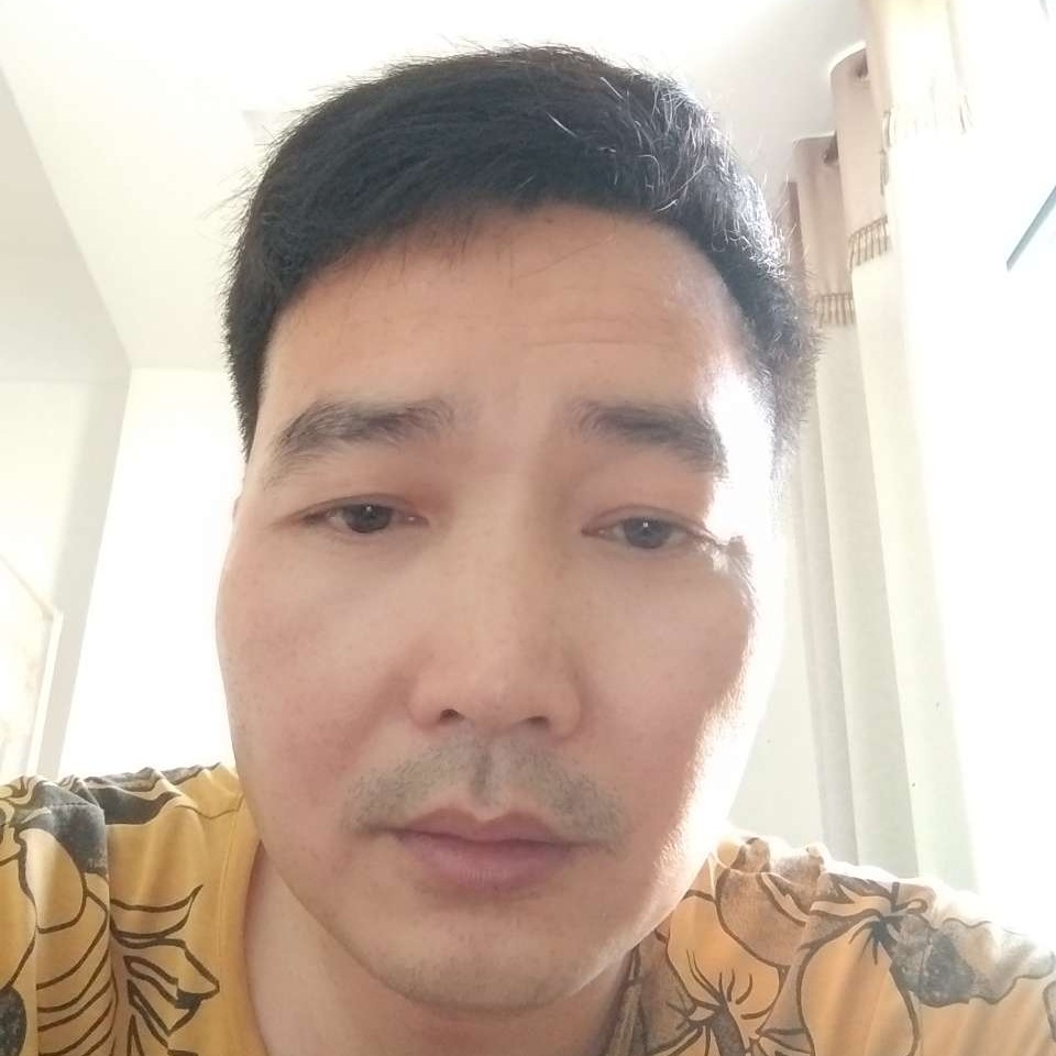 温婉凝眸灰狼的照片