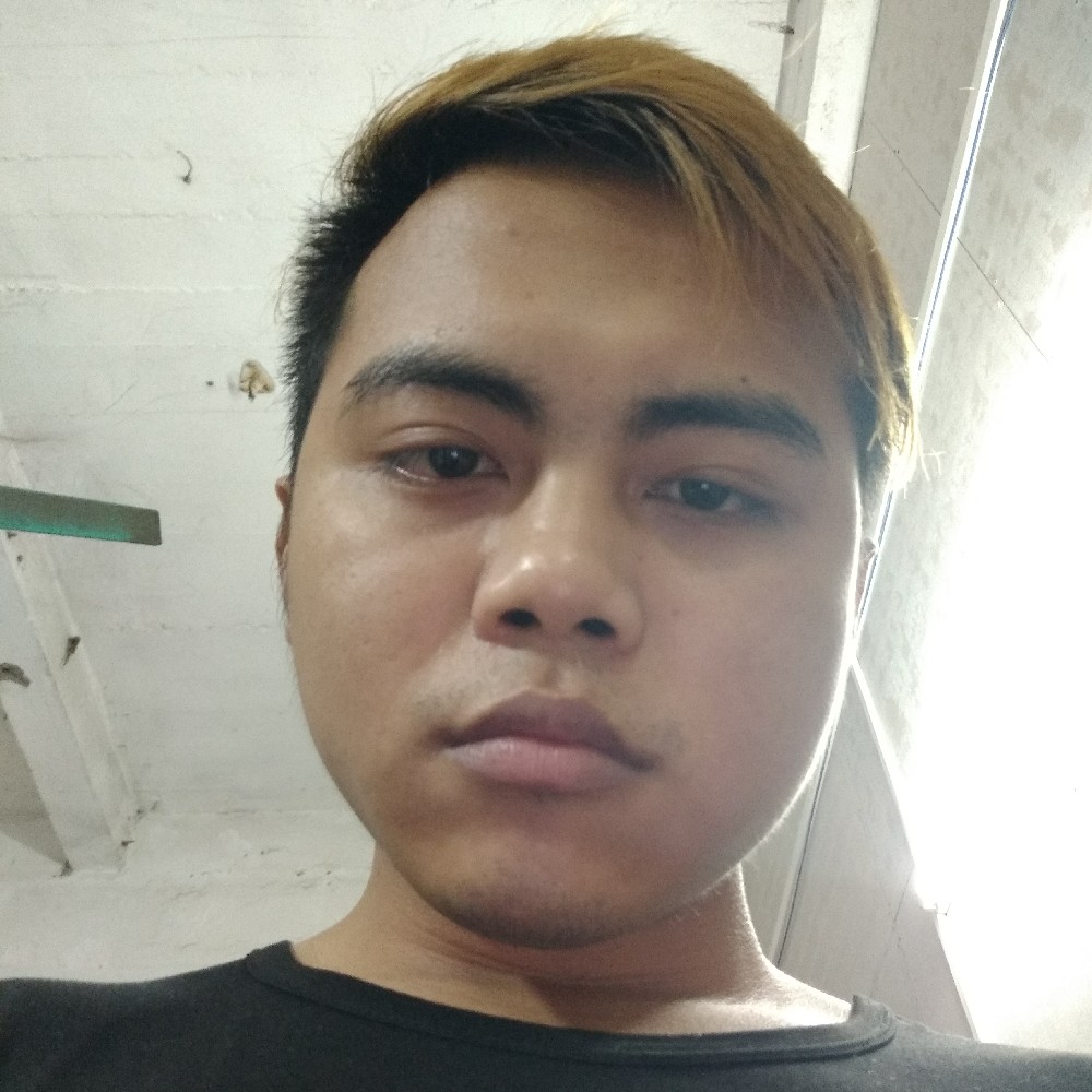 了车的照片