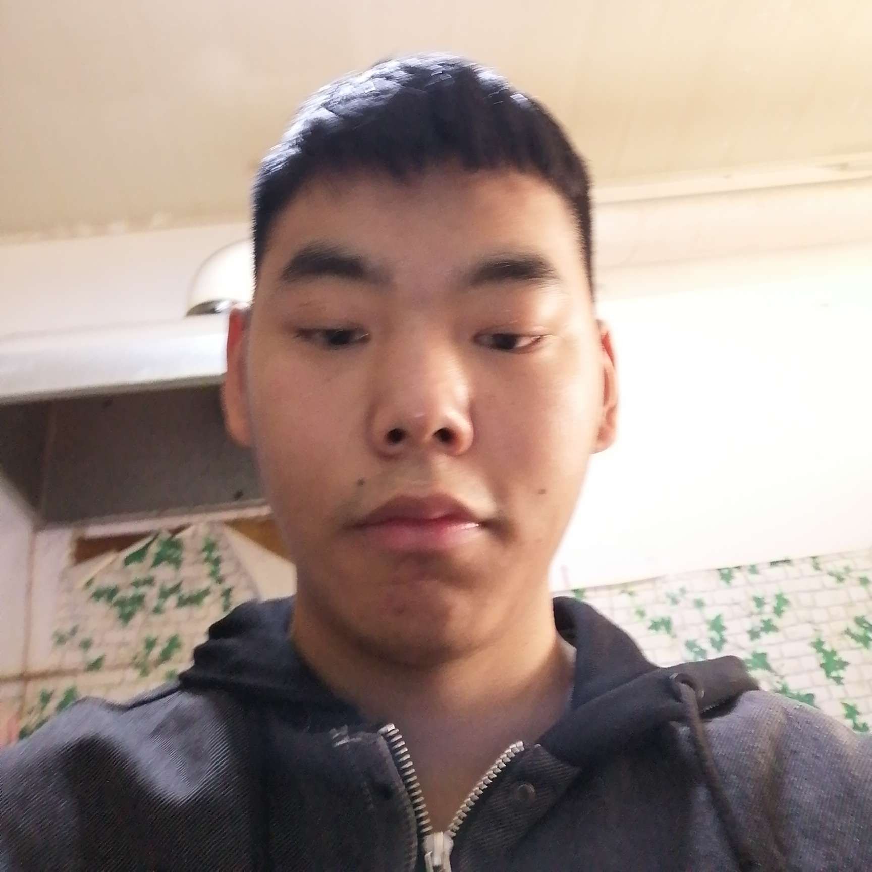 小蝴蝶等于粗暴的照片