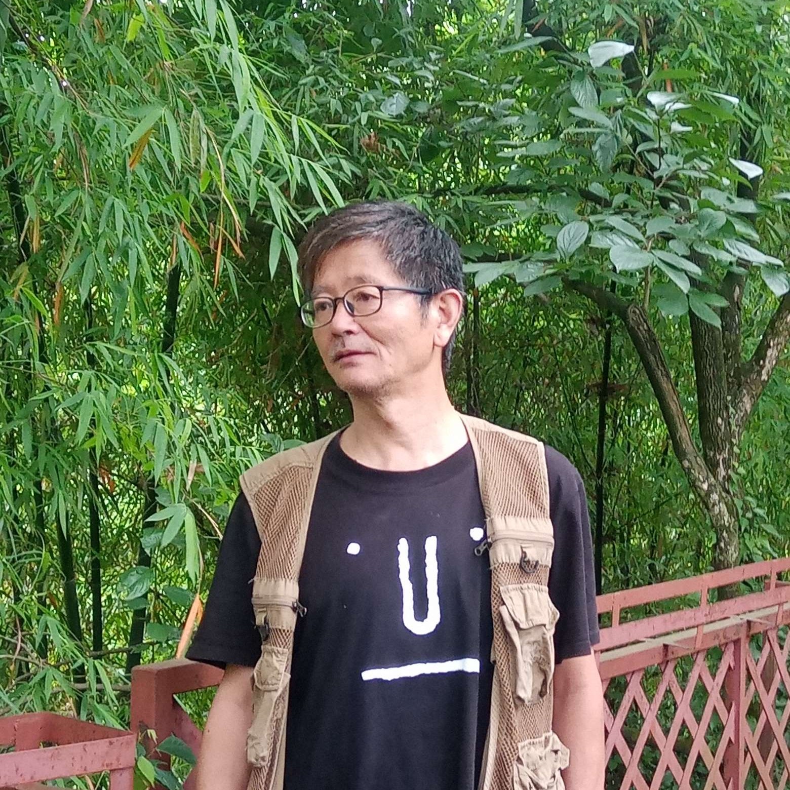 屋檐上的草草的照片