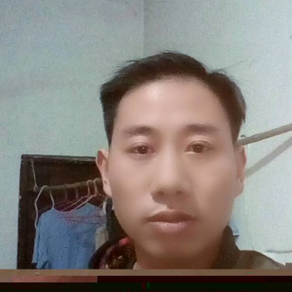 迷路蹙眉蜜蜂的照片