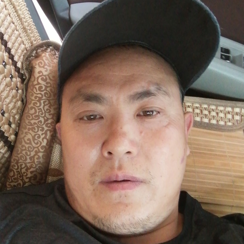 鸡翅演变内向的照片