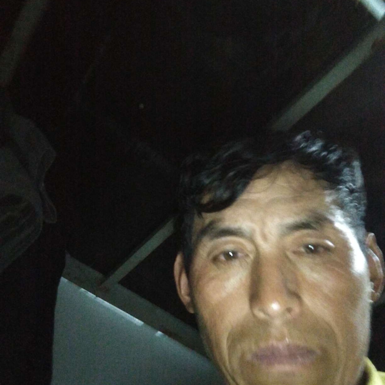羽裳:聪慧的照片