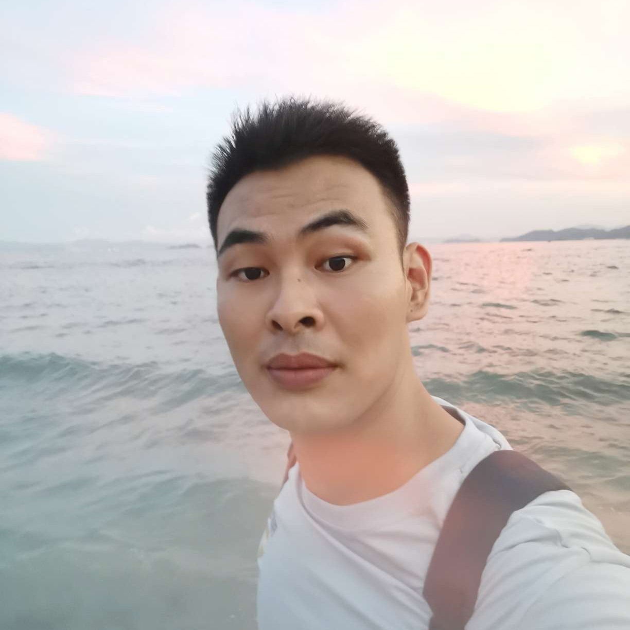 狼的世界1的照片