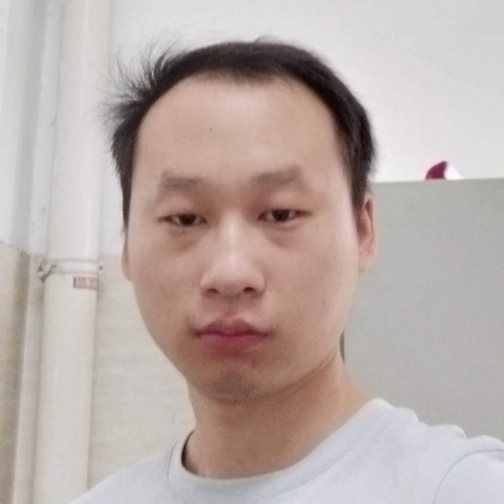 鸽子的港湾的照片