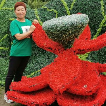芝麻保卫从容的照片